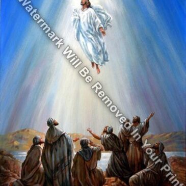 JESUS CHRIST Taken Up Into Heaven Religious Art Print Matted/Unmatted R15