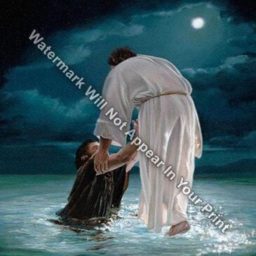 BE NOT AFRAID Reprint Jesus Saves Man From Drowning Christ Pic Matted / Unmatted R1