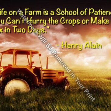 Life On A Farm Is A School of Patience Wall Art Print Matted/Unmatted F4